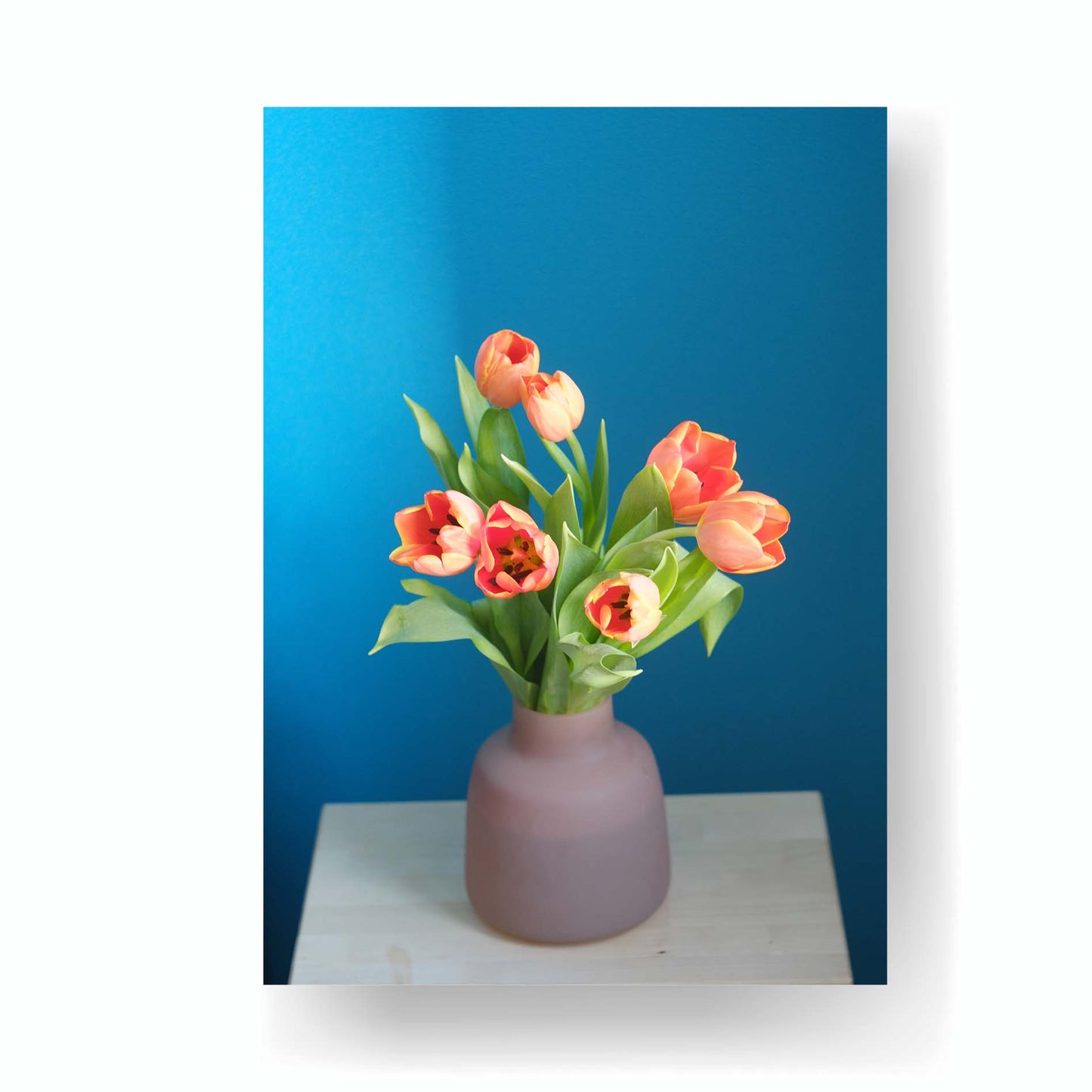 Tulips In a Vase - Klasika