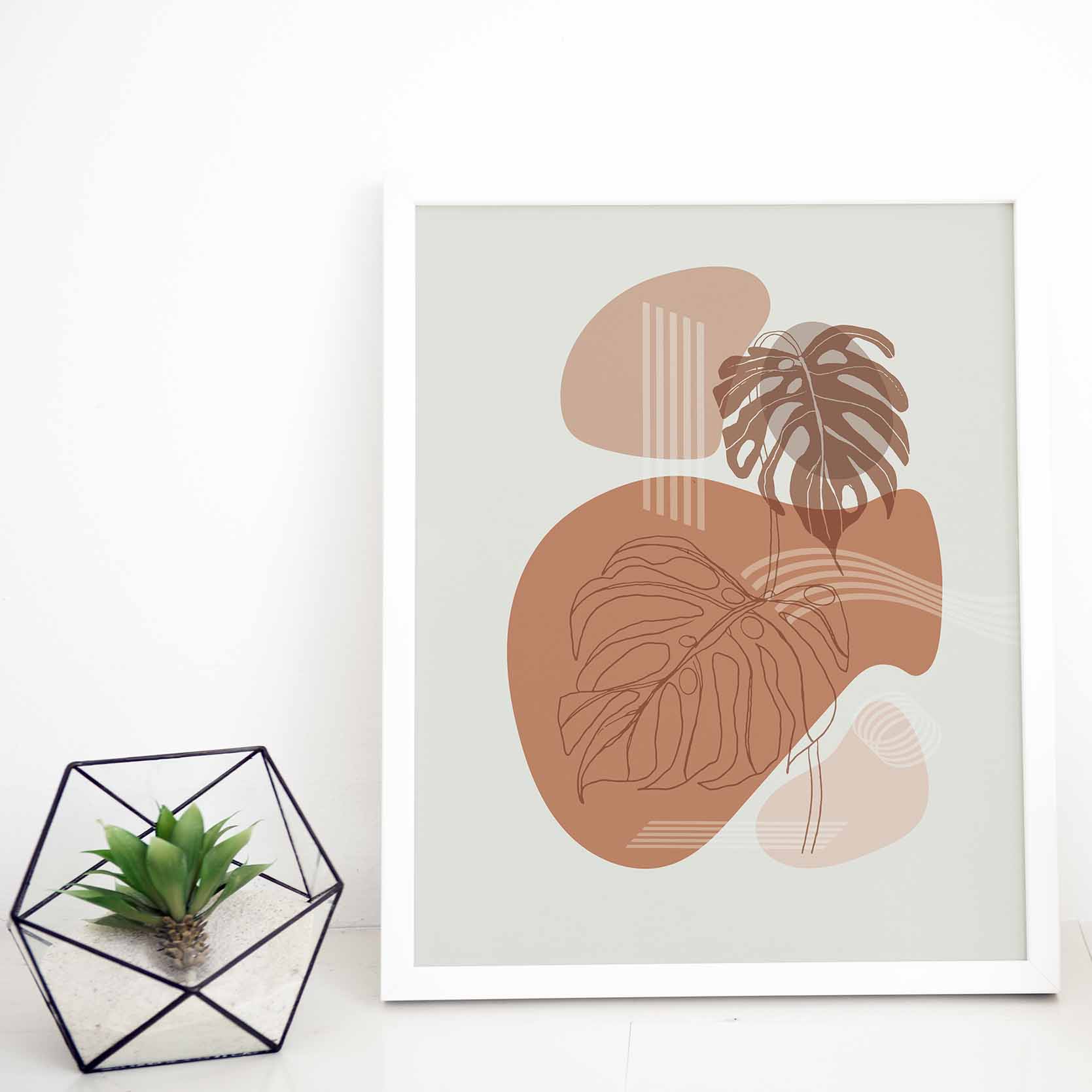 Monstera - A - Klasika