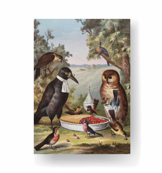 Birds in a Picnic - Klasika