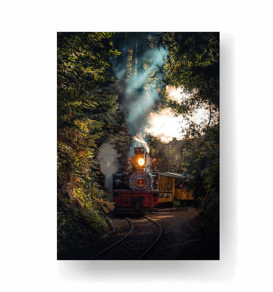 Forest Steam Train - Klasika